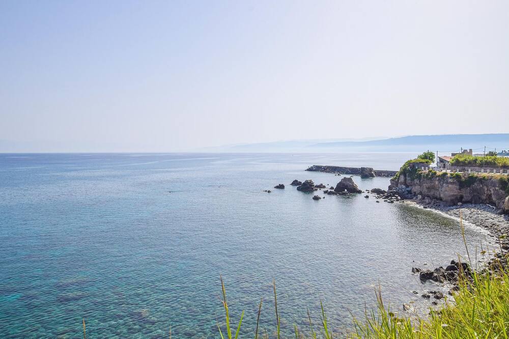 Photo of Others in Scilla