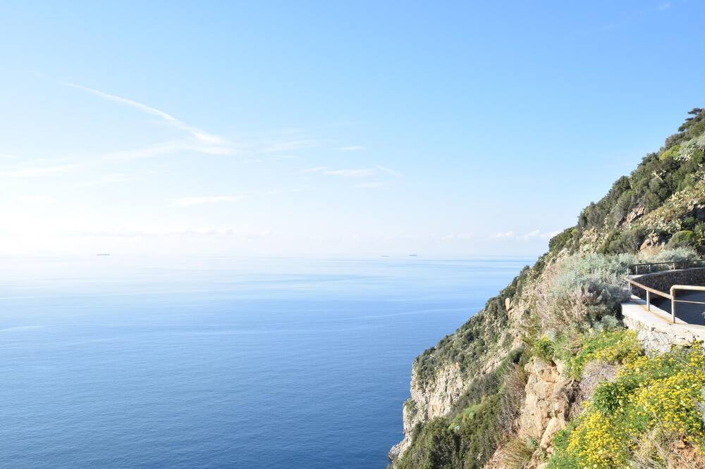 Photo of Others in Scilla