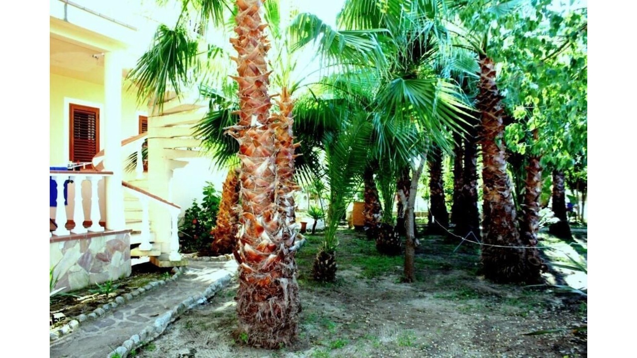 Photo of Outdoor in Ricadi