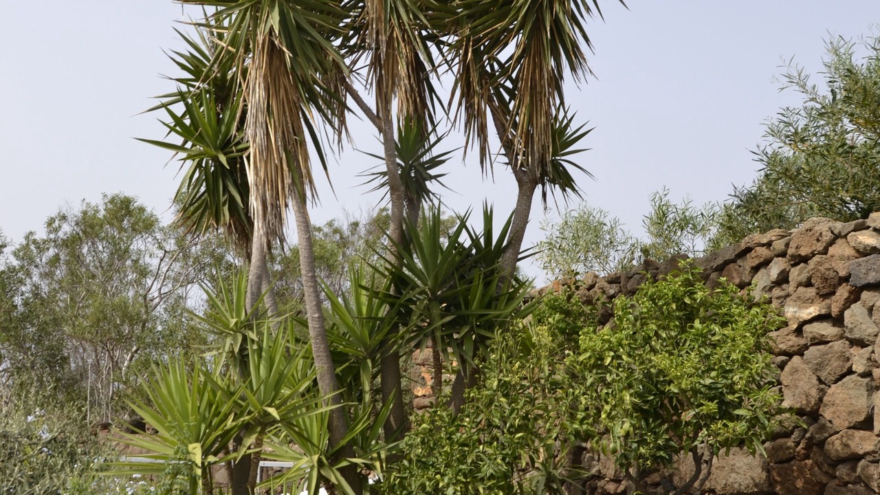 Photo of Outdoor in Pantelleria