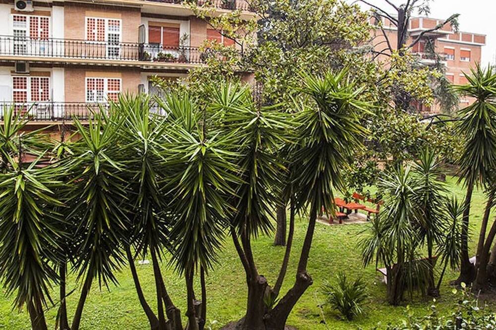 Photo of Outdoor in Zona XIX Casal Morena