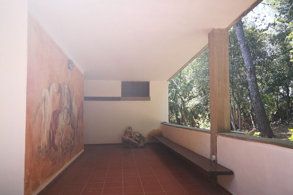 Photo of Others in Quercianella