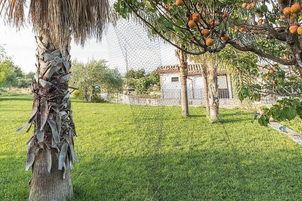 Photo of Outdoor in Casa Papa