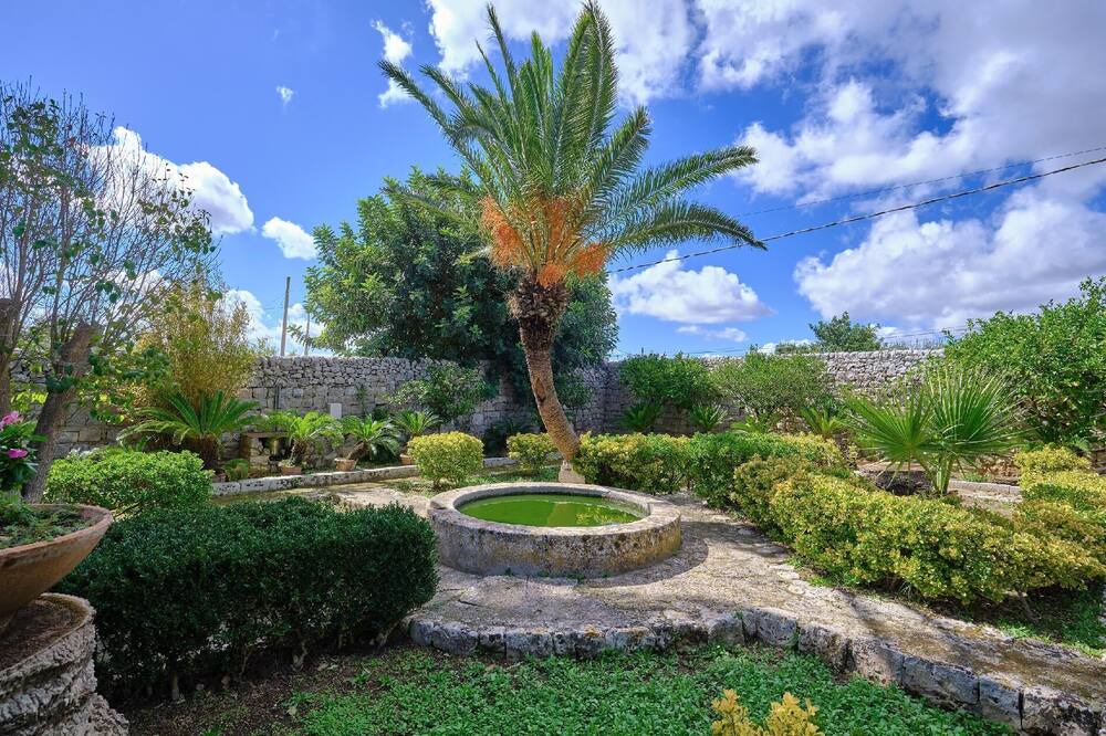Photo of Outdoor in Casa Papa