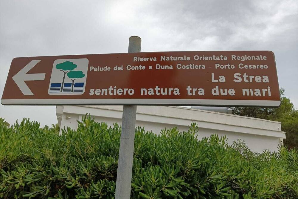 Photo of Outdoor in La Strea