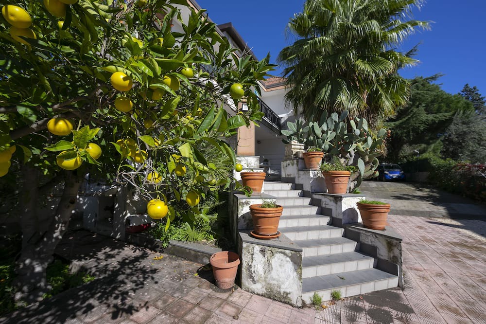 Photo of Outdoor in Mascalucia