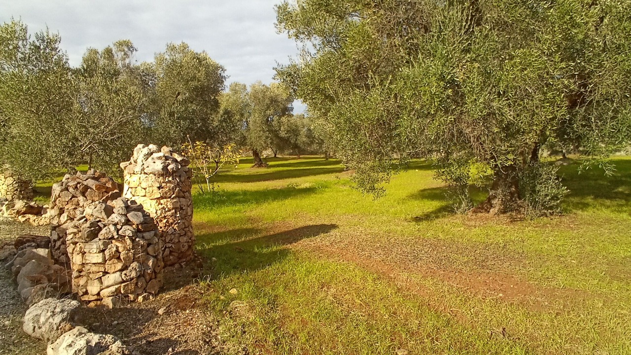 Photo of Outdoor in San Michele Salentino