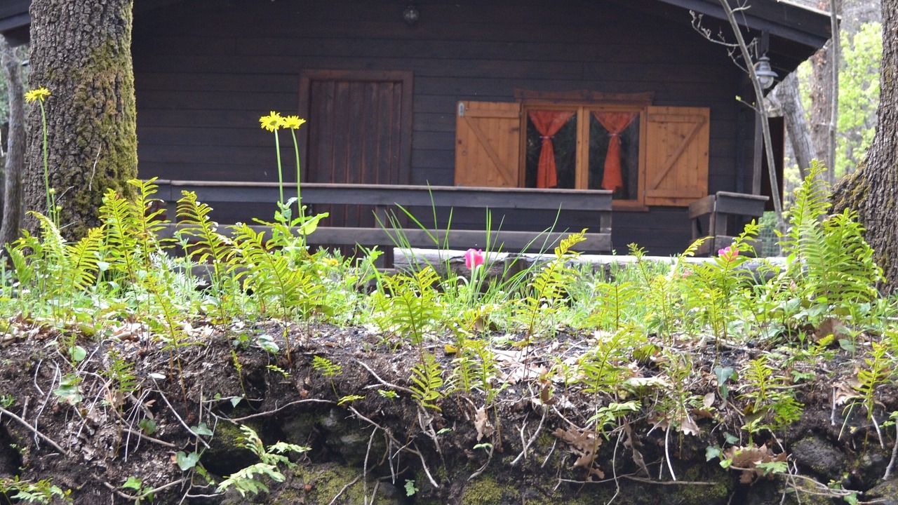 Photo of Outdoor in Pedara