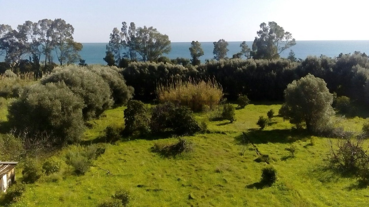Photo of Outdoor in Condofuri