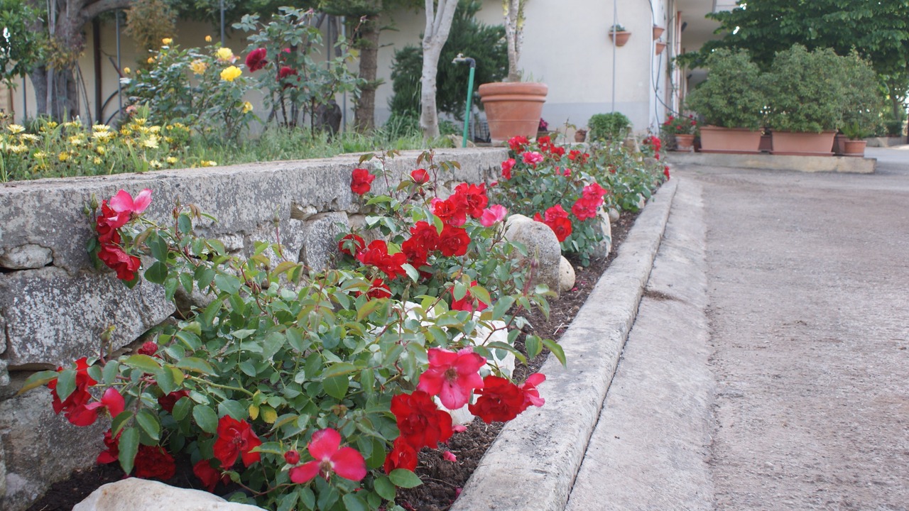 Photo of Outdoor in Casa Papa