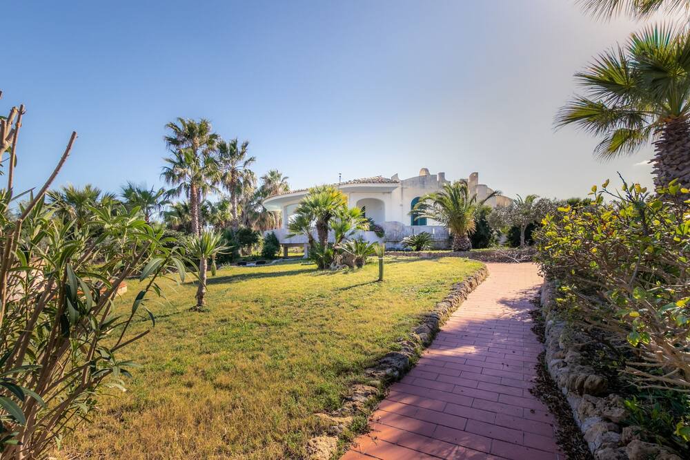 Photo of Outdoor in San Lorenzo