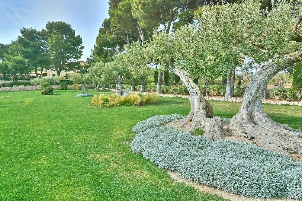 Photo of Outdoor in Licata