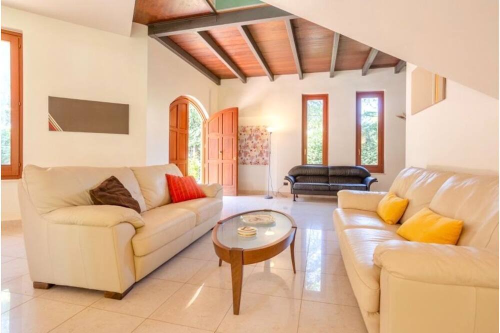 Photo of Livingroom in Paparella