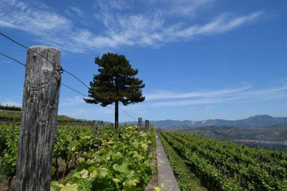 Photo of Outdoor in Piedimonte Etneo