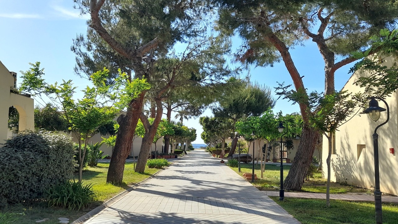 Photo of Outdoor in Zambrone