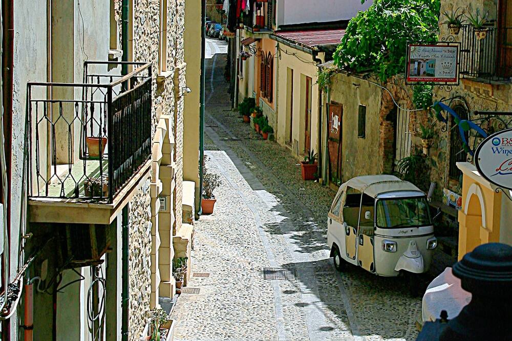 Photo of Others in Scilla