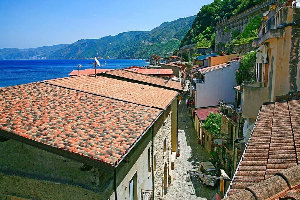 Photo of Others in Scilla