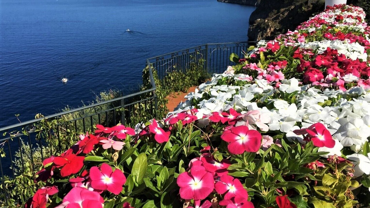 Photo of Outdoor in Terrasini