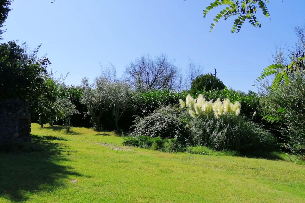 Photo of Outdoor in Chia