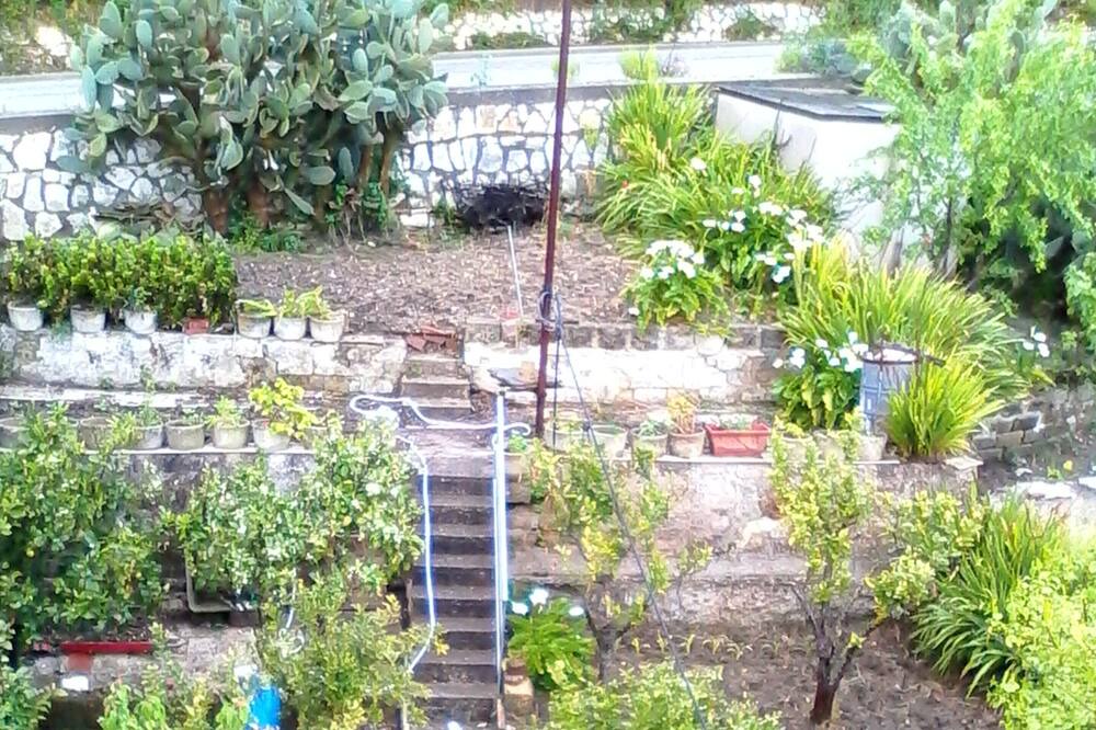 Photo of Outdoor in Vita