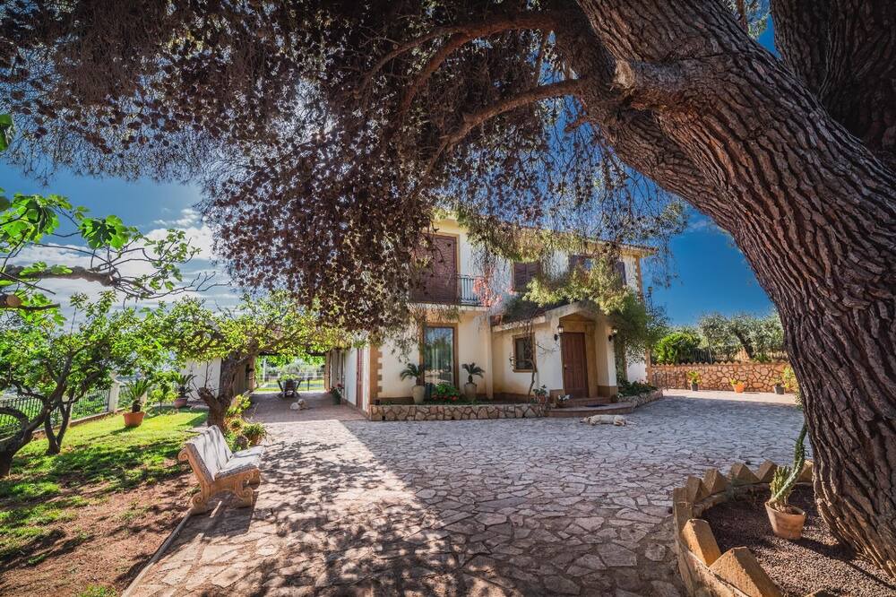 Photo of Outdoor in Ribera