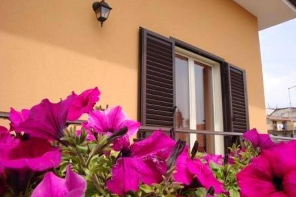 Photo of Livingroom in Nicolosi