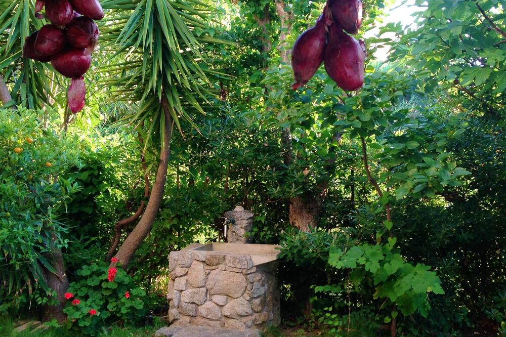 Photo of Outdoor in Parghelia