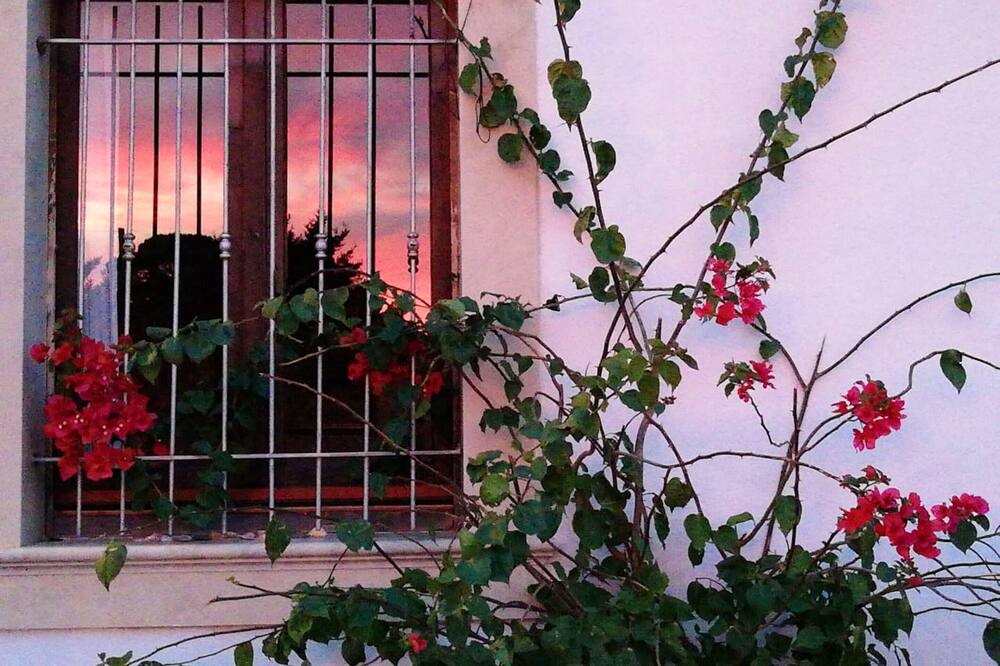 Photo of Outdoor in Vittoria