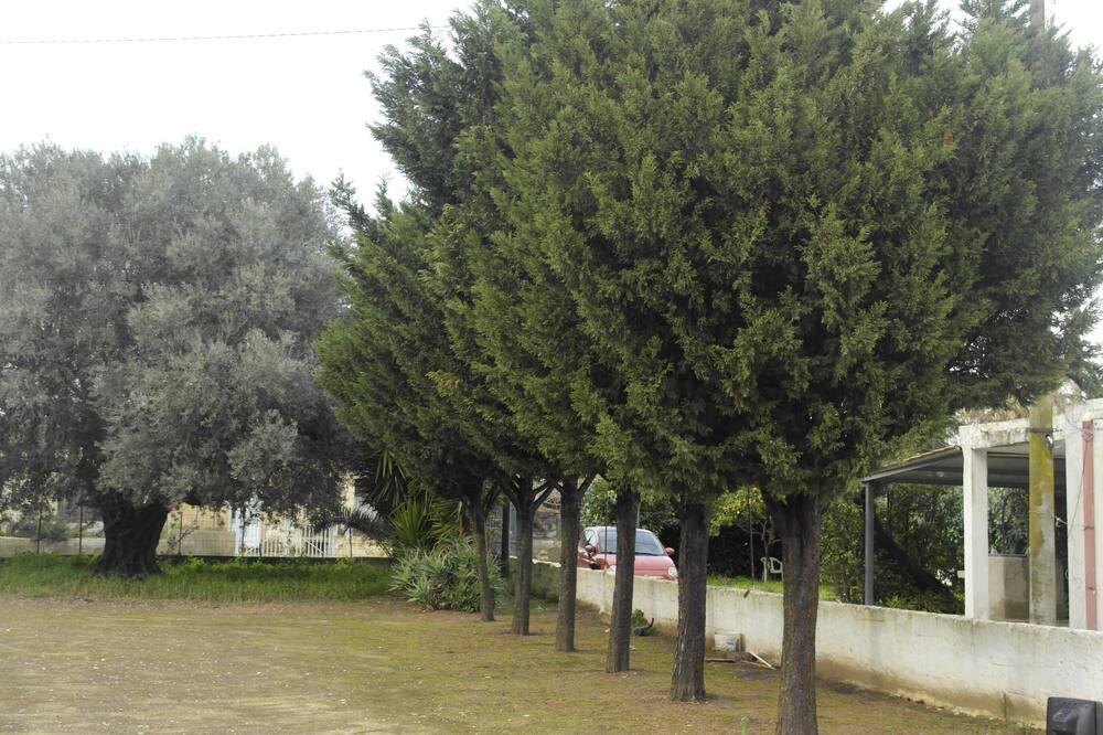 Photo of Others in Vittoria