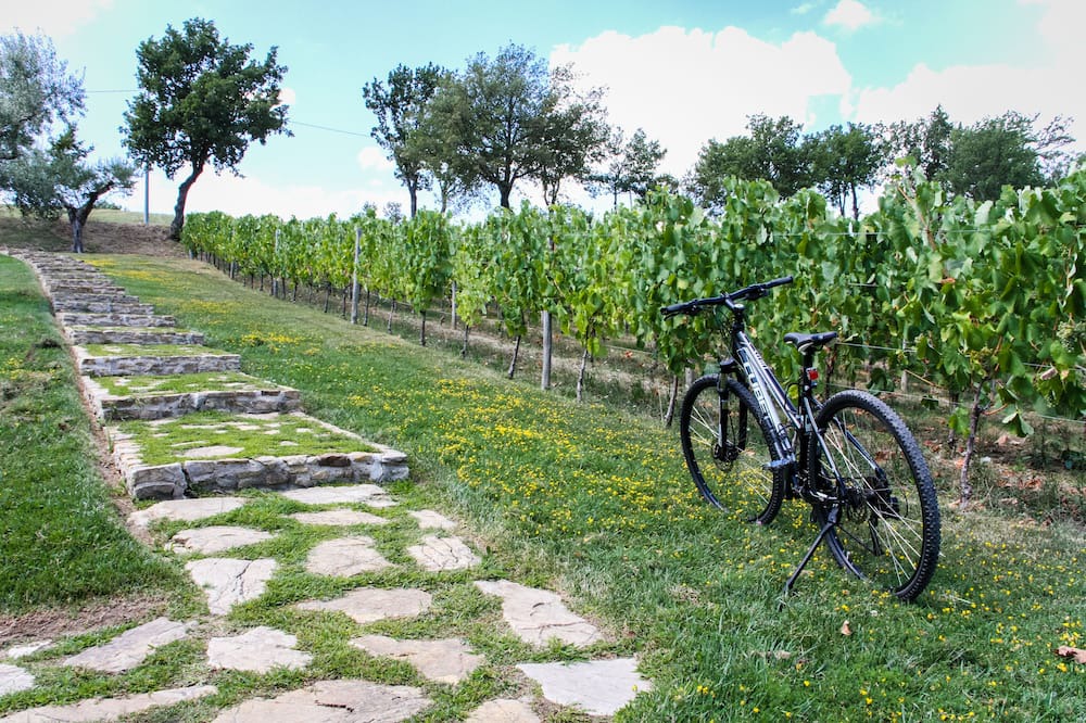 Photo of Outdoor in Sorbo Serpico