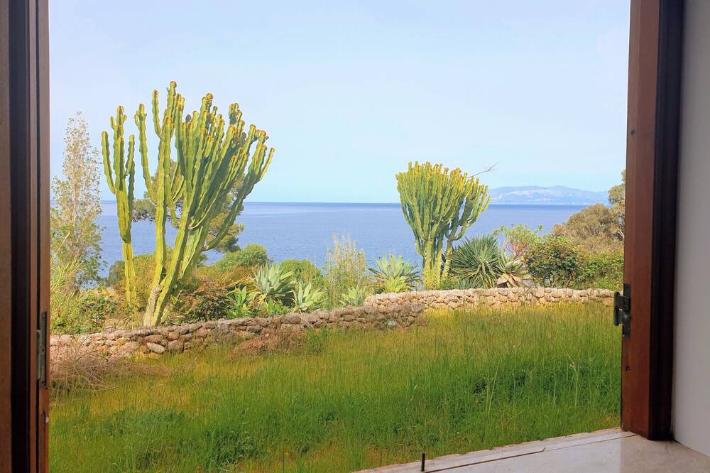 Photo of Others in Scopello