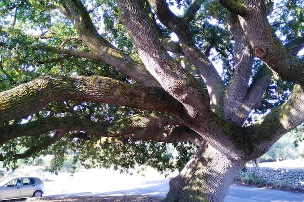 Photo of Outdoor in Chiaramonte Gulfi