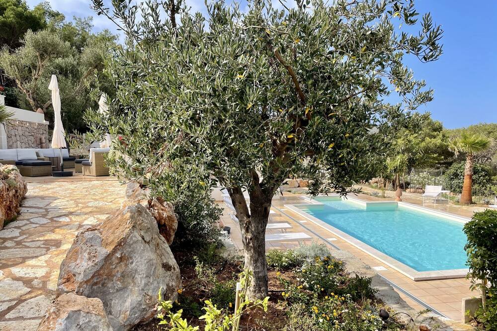 Photo of Outdoor in Levanzo