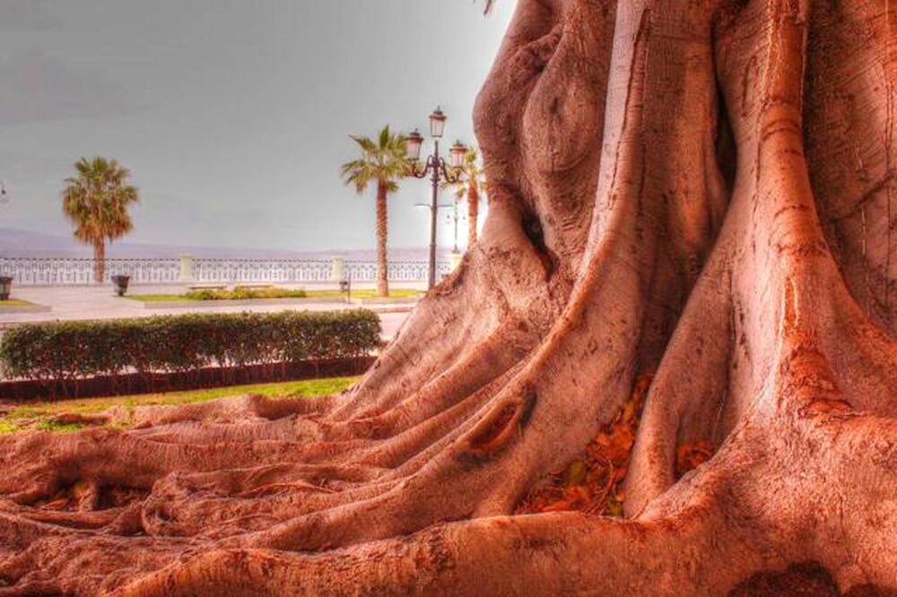 Photo of Others in Reggio Calabria