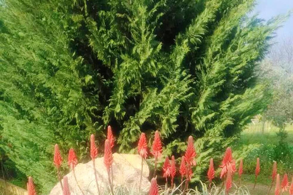 Photo of Outdoor in Grammichele