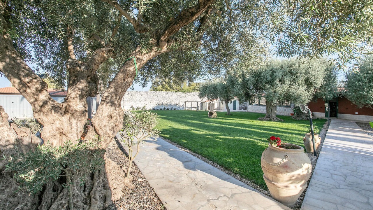 Photo of Outdoor in Casa Papa