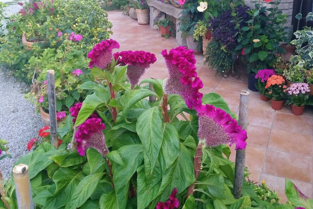 Photo of Outdoor in Reitano