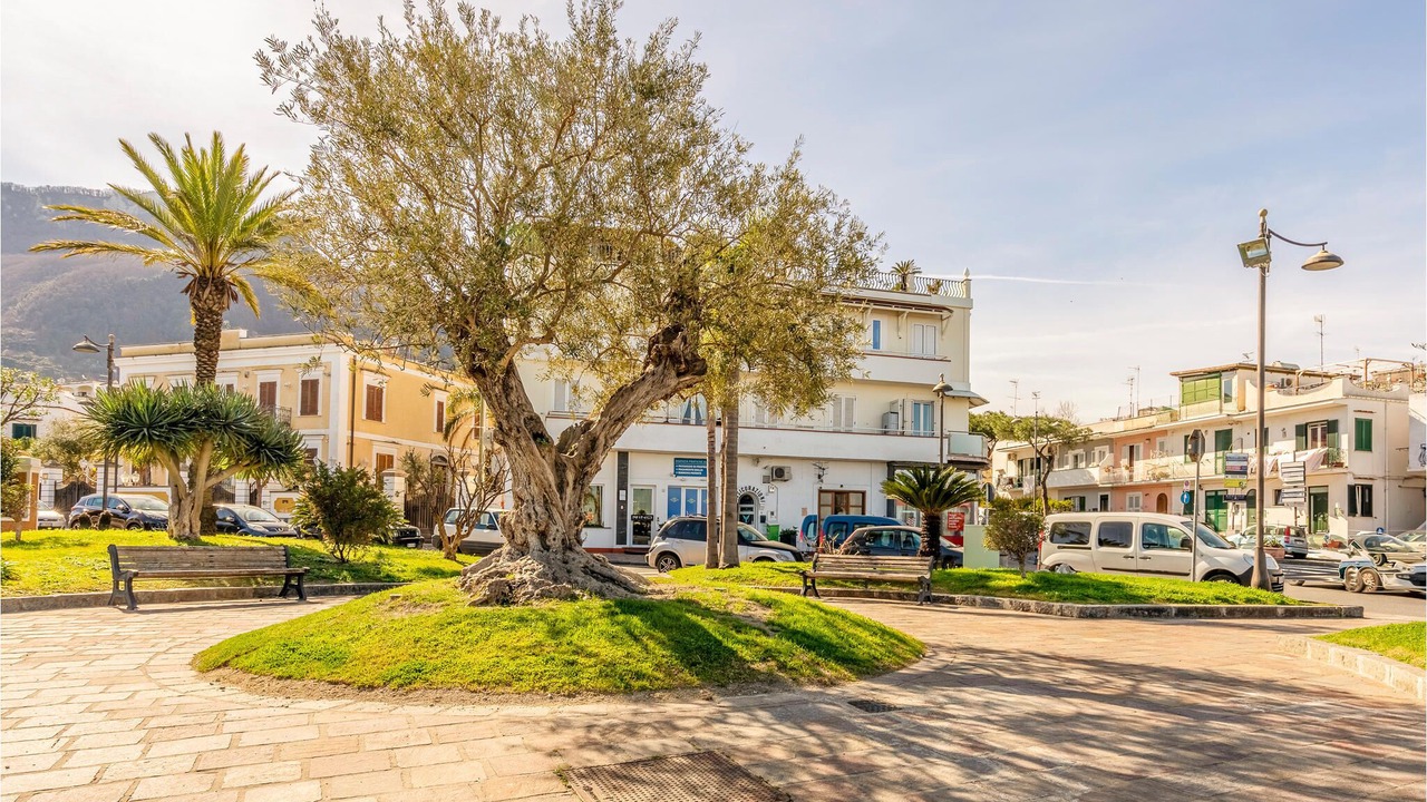 Photo of Outdoor in Lacco Ameno