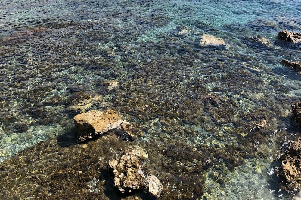 Photo of Others in Belvedere Marittimo