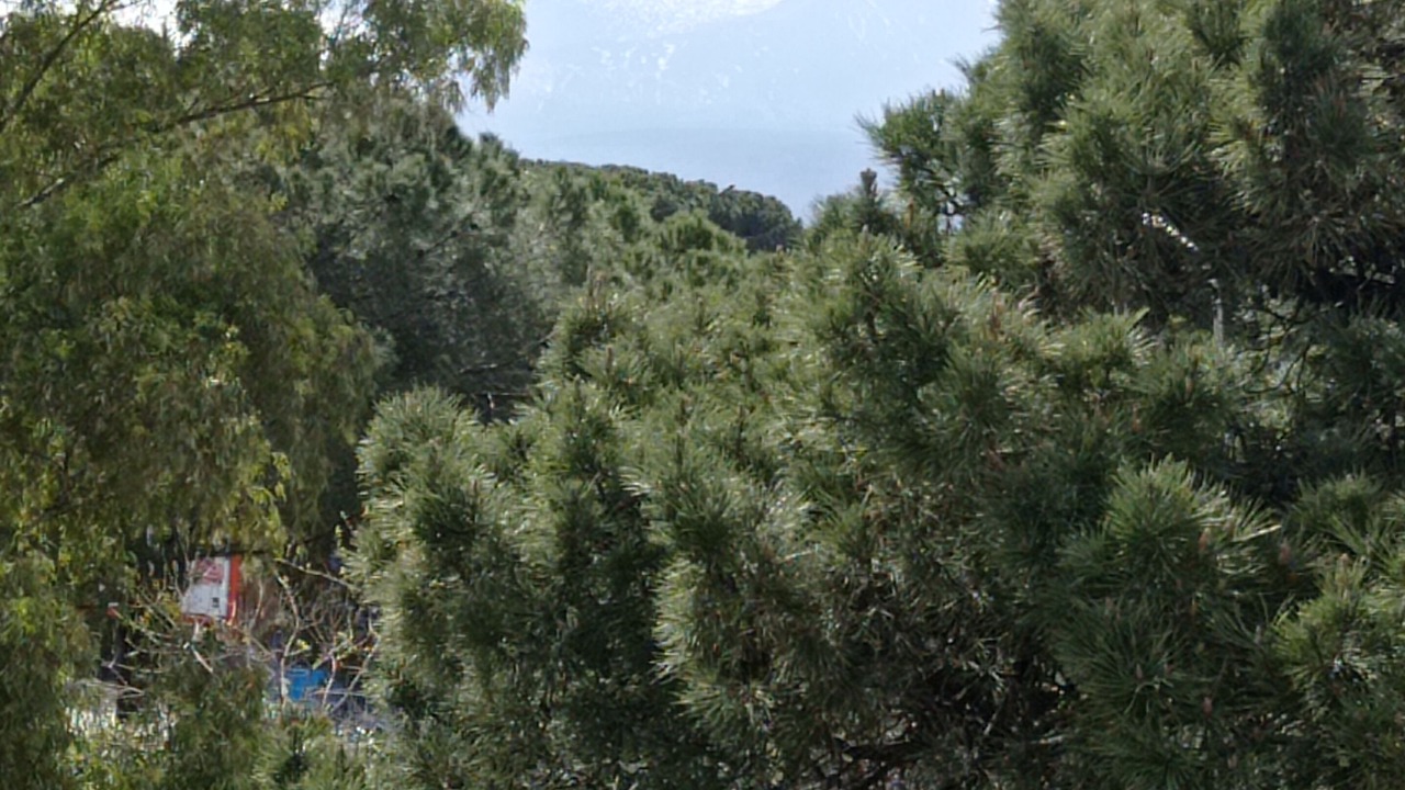 Photo of Others in Giardini Naxos