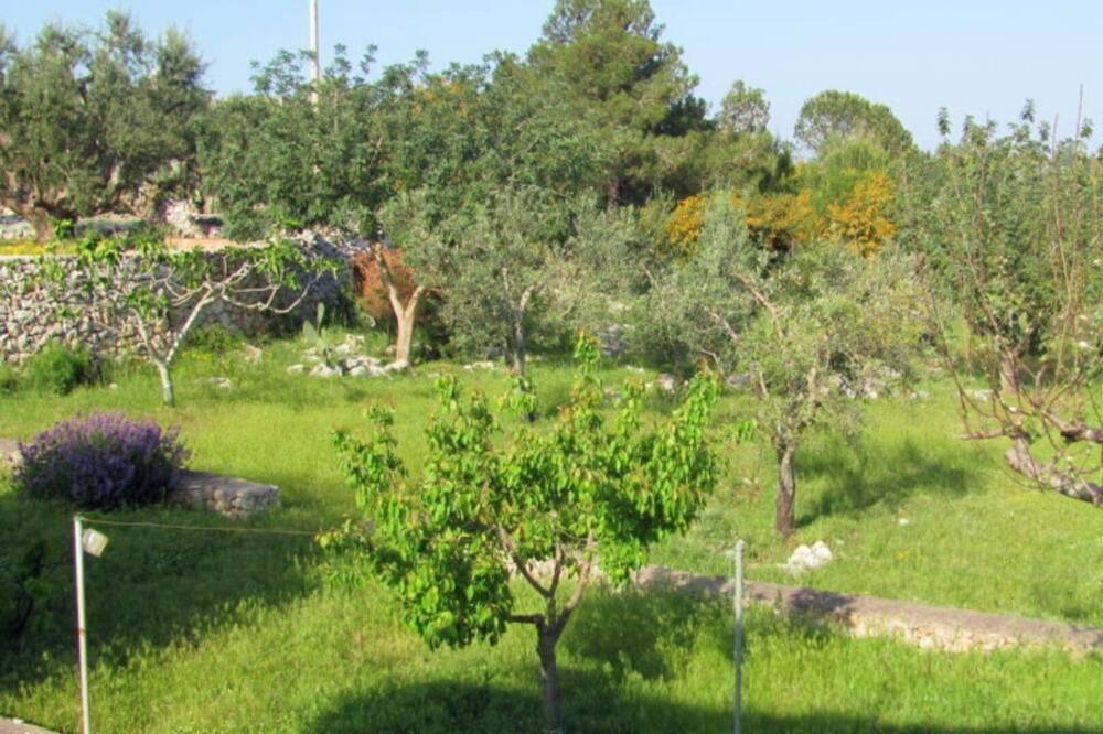Photo of Outdoor in Marina di Novaglie