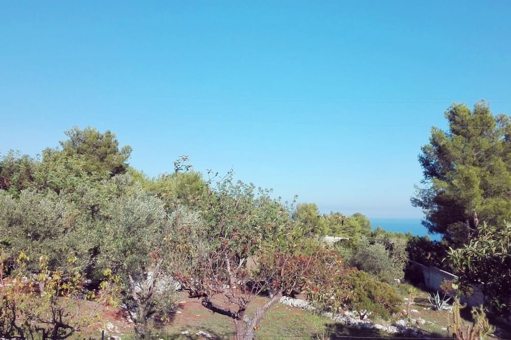 Photo of Outdoor in Marina di Novaglie