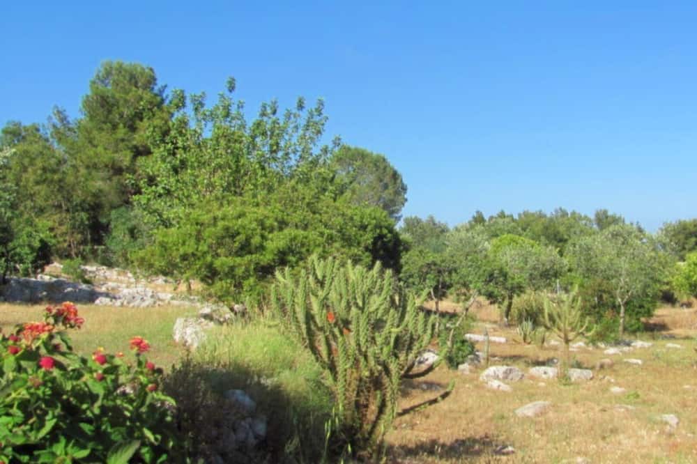 Photo of Outdoor in Marina di Novaglie