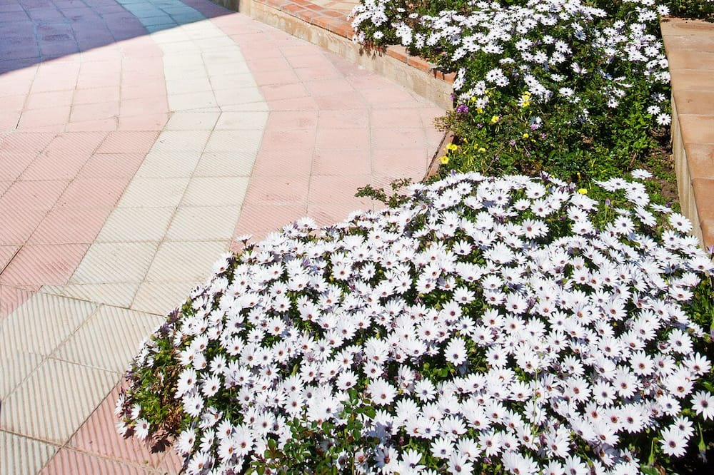 Photo of Others in Letojanni