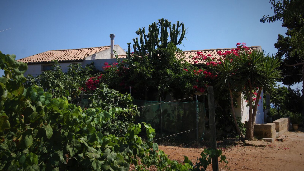 Photo of Outdoor in Menfi