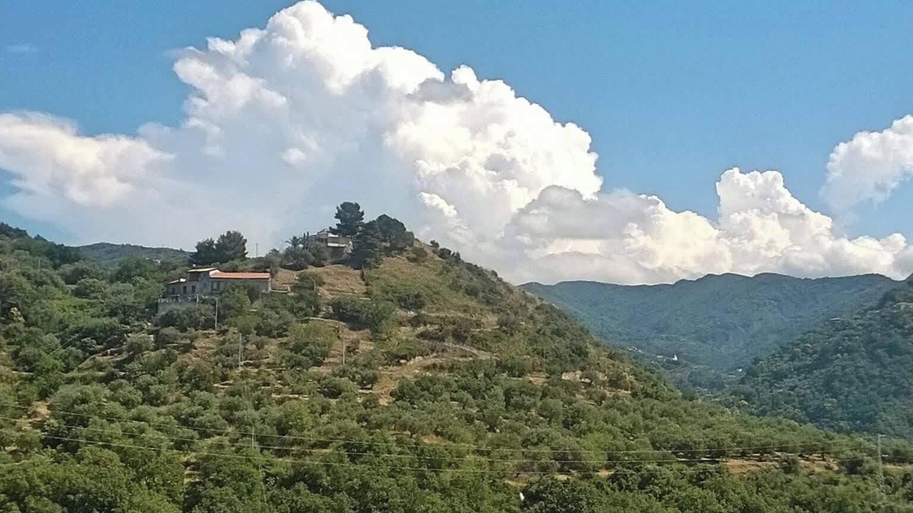 Photo of Outdoor in Gioiosa Marea