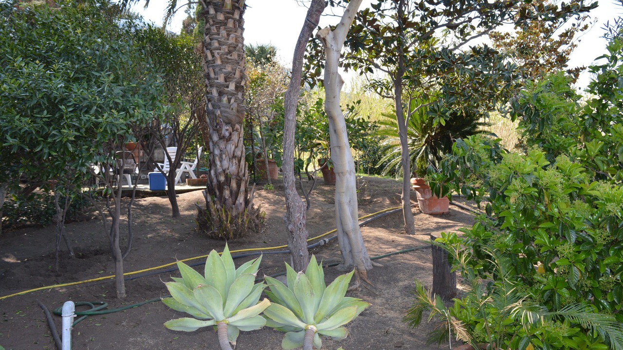 Photo of Outdoor in San Vincenzo