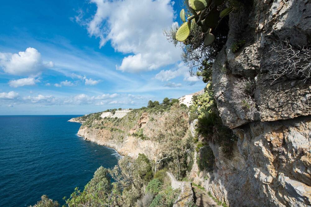 Photo of Others in Terrasini