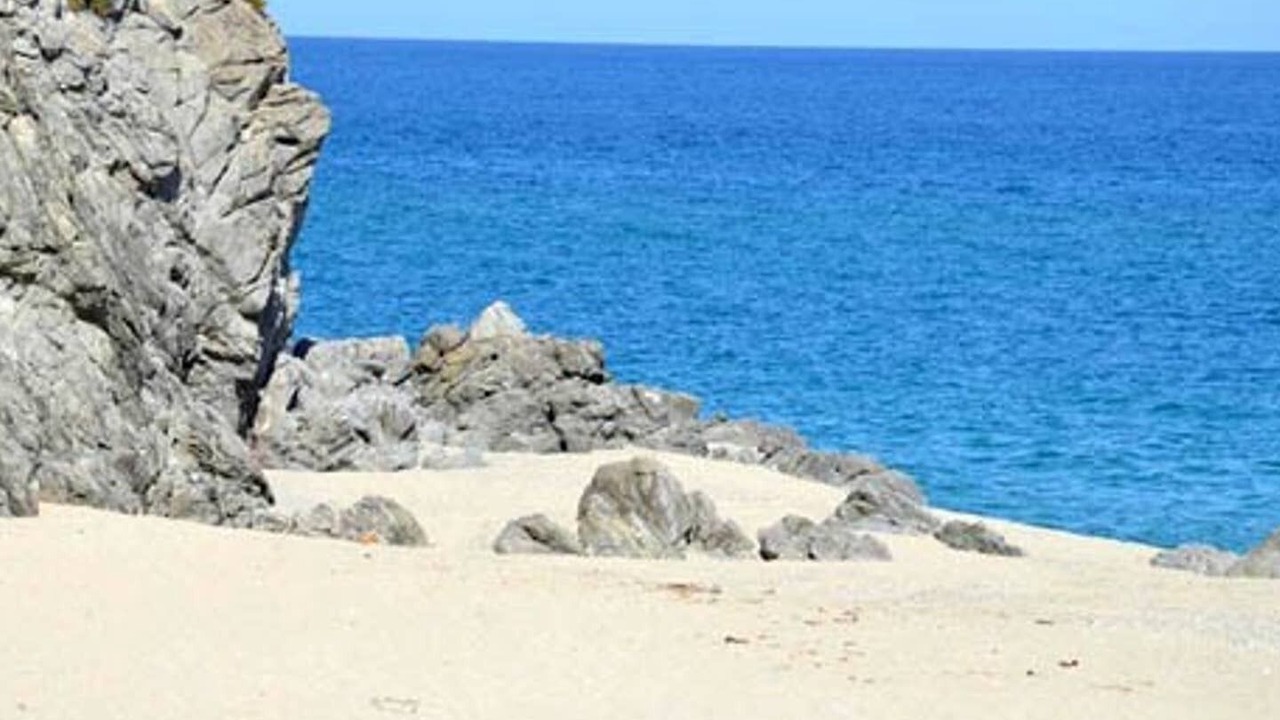 Photo of Others in Caminia