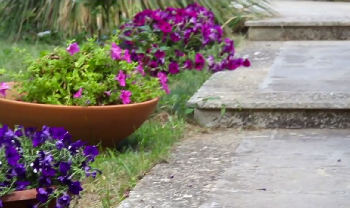 Photo of Outdoor in Ragusa